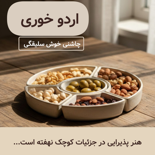 ظرف مزه خوری سرامیکی چیست؟ راهنمای انتخاب و خرید ظرف مزه خوری